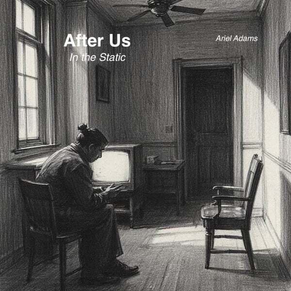 Cover art for After Us -- In the Static